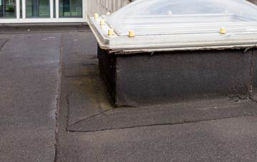 disadvantages of Kingston Park flat roofs