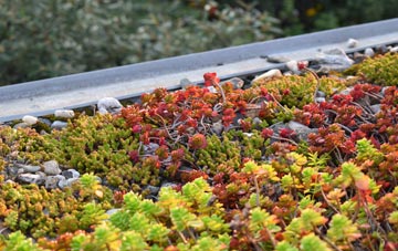 the cost of Kingston Park green roof installation