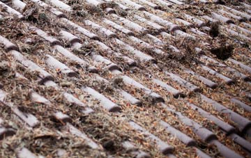 Kingston Park roof cleaning companies