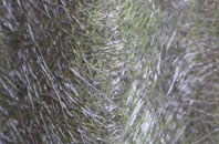 Kingston Park fibreglass roof work